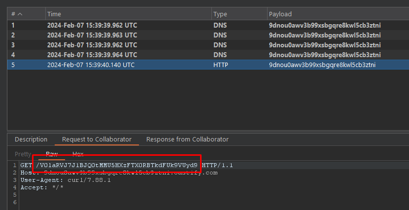 Flag request in Burp